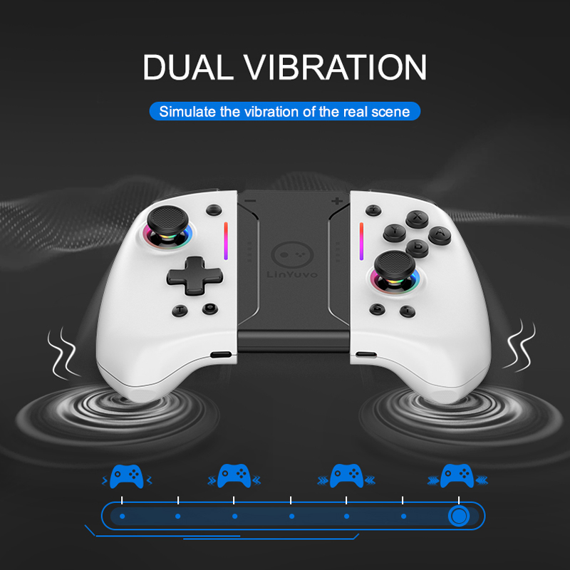 Drahtlose Bluetooth-Steuerung  – Gaming Kit Accessories Nintendo Switch Bewertung und Preis